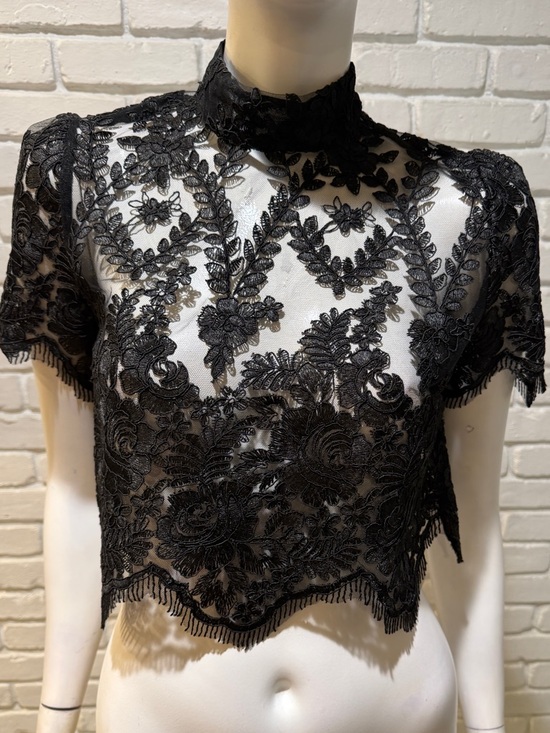 Stone Cold Fox Black Embroidered Lace Crop Top M Mock Neck Sheer Luxe NWOT - Picture 6 of 13